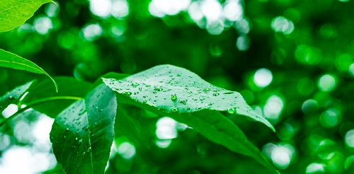 1658459202470889.png image.png