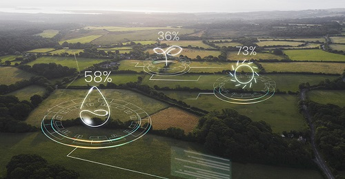 1660288019165736.png image.png