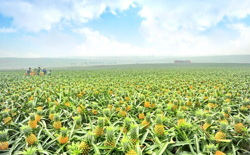 1661827026346472.png image.png