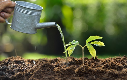 1663558071559393.png image.png