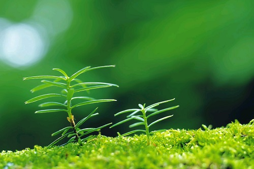 1663911449154305.png image.png