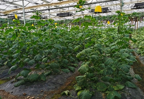 1664332870955196.png image.png