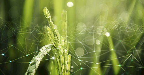 1664429966142832.png image.png