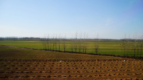 1666665912177124.png image.png