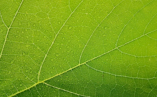 1669171867130773.png image.png