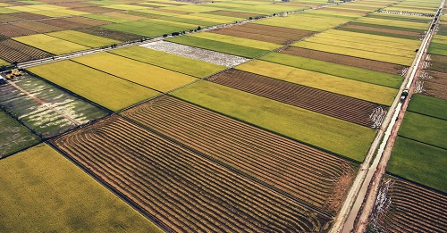 1669785285325295.png image.png