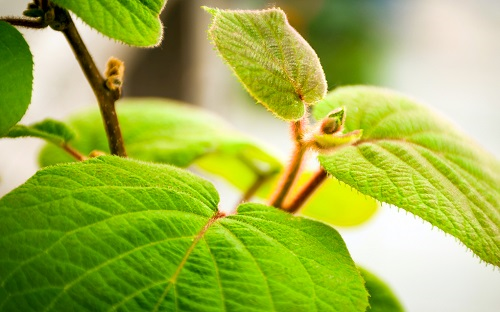 1669874959252970.png image.png