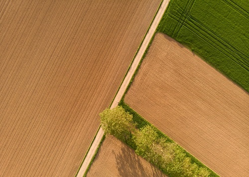 1670310491127324.png image.png