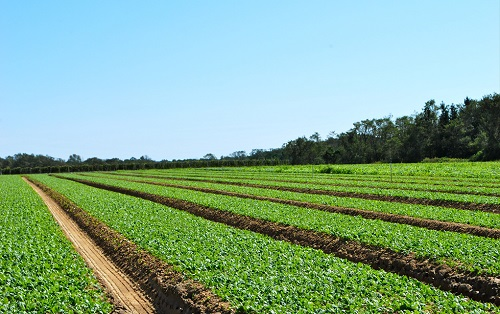 1670395156100304.png image.png