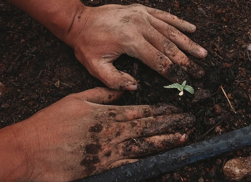 1670468223161497.png image.png