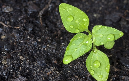 1670477173136727.png image.png