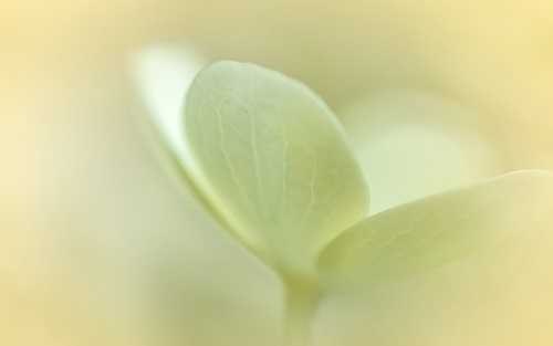 1670568437203069.png image.png