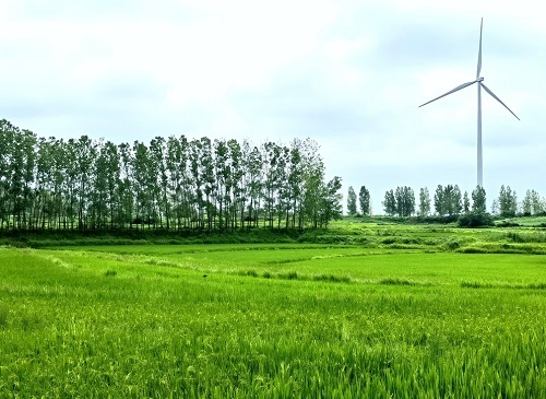 1671000580173905.png image.png