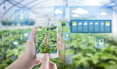 1671778421895642.png image.png