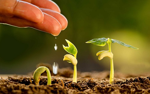 1672122091704348.png image.png