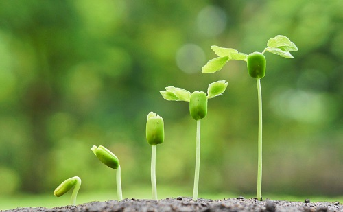 1672897576439534.png image.png