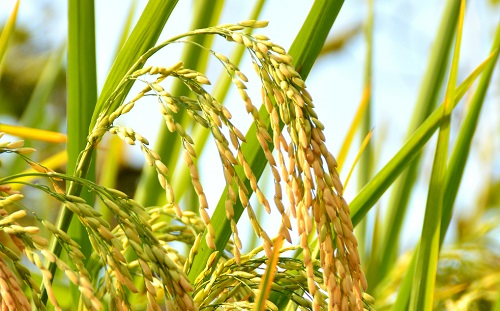 1673235807986511.png image.png