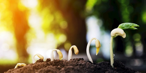 1674970932121875.png image.png