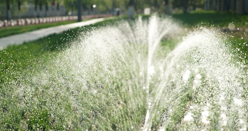 1675056895116301.png image.png