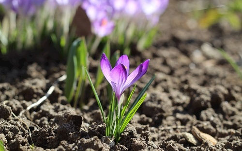 1675142569208443.png image.png