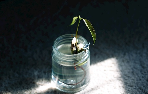 1675394932197286.png image.png