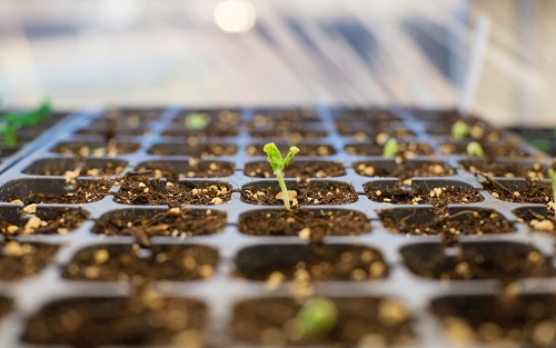 1675661435201860.png image.png