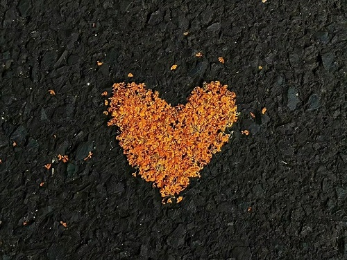 1676265660714436.png image.png