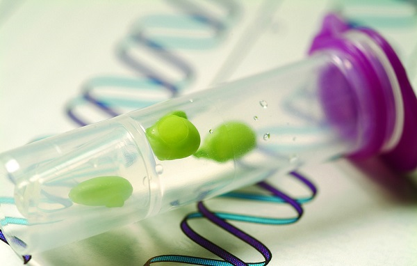 種子發(fā)芽所需要的條件，種子發(fā)芽箱都可以提供嗎？