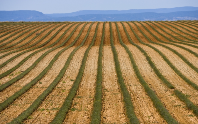 （國(guó)產(chǎn)）土壤養(yǎng)分檢測(cè)儀哪個(gè)牌子好？高智能土壤養(yǎng)分檢測(cè)儀哪家好？