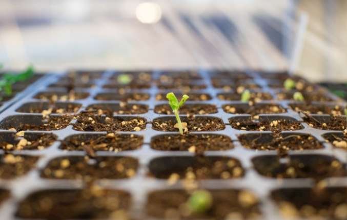 農(nóng)業(yè)中用得到哪些土壤快速檢測(cè)儀？（農(nóng)場(chǎng)必備的土壤檢測(cè)神器）