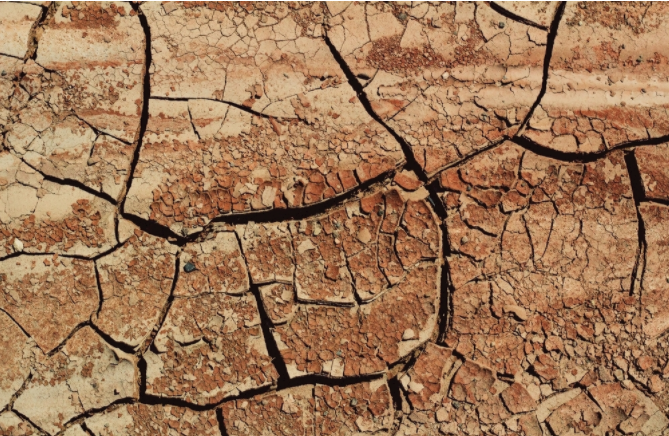 高智能土壤肥料養(yǎng)分速測儀有GPS定位功能嗎？（土壤肥料養(yǎng)分速測儀優(yōu)勢）