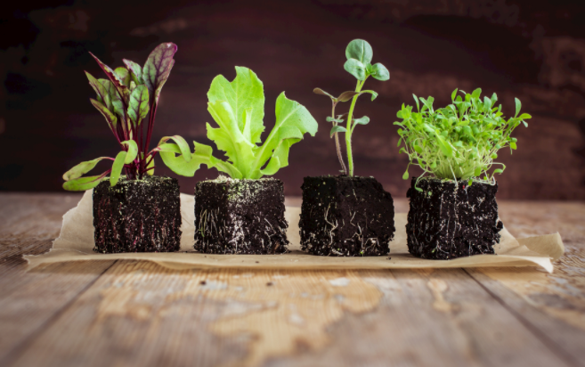 如何判斷土壤的好壞？土壤養(yǎng)分測(cè)量?jī)x能否提供制定施肥方案？