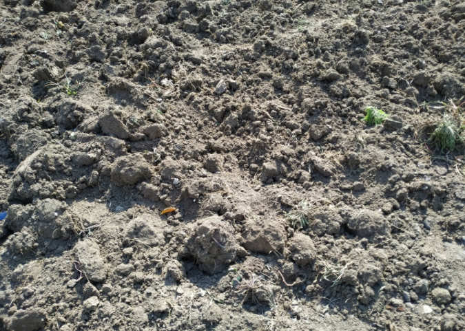 汽油動力土壤采樣器型號-便攜式土壤取樣鉆機(jī)介紹