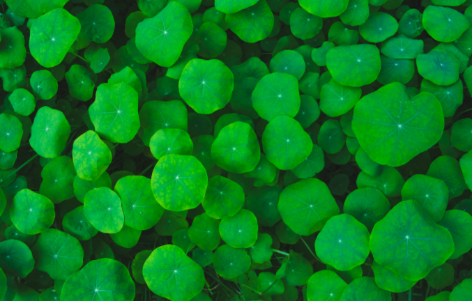 土壤緊實度儀使用后的維護工作非常重要，做到這五點就行