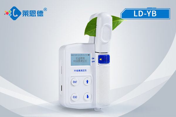 葉綠素檢測(cè)儀的實(shí)用意義：及時(shí)掌握綠素、葉面溫度等數(shù)據(jù)