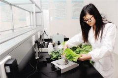 農(nóng)殘快速檢測(cè)儀的使用過程